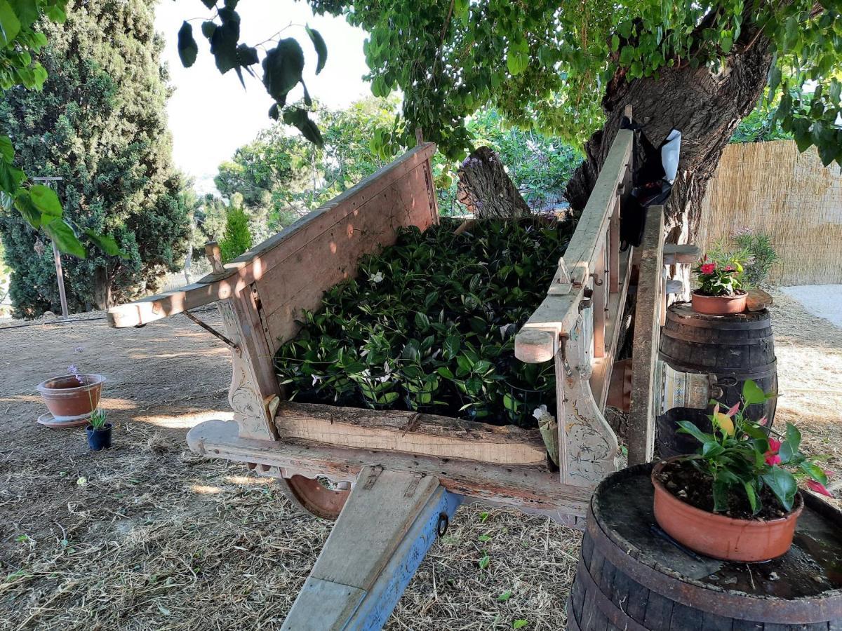 Tenuta Coppa Zuccari Citta Sant'Angelo Ngoại thất bức ảnh