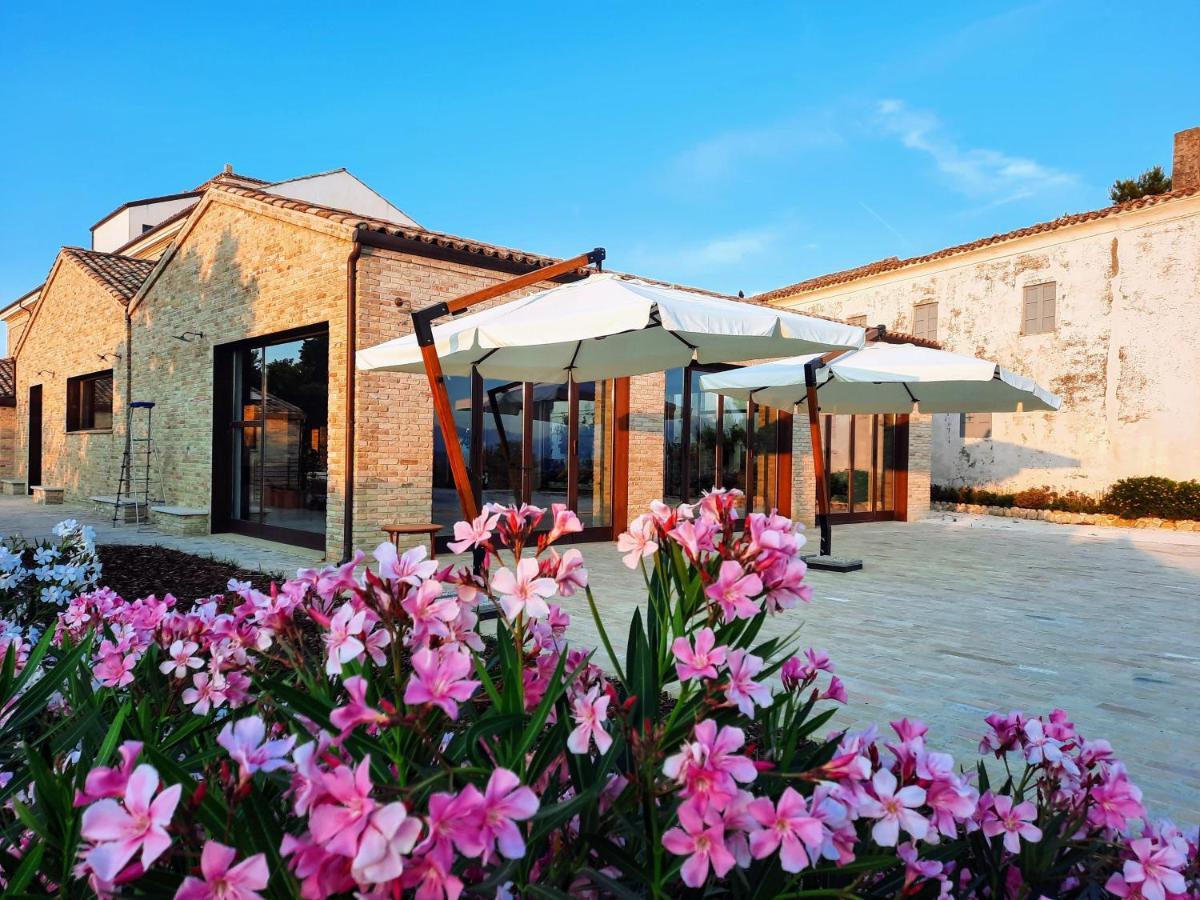 Tenuta Coppa Zuccari Citta Sant'Angelo Ngoại thất bức ảnh