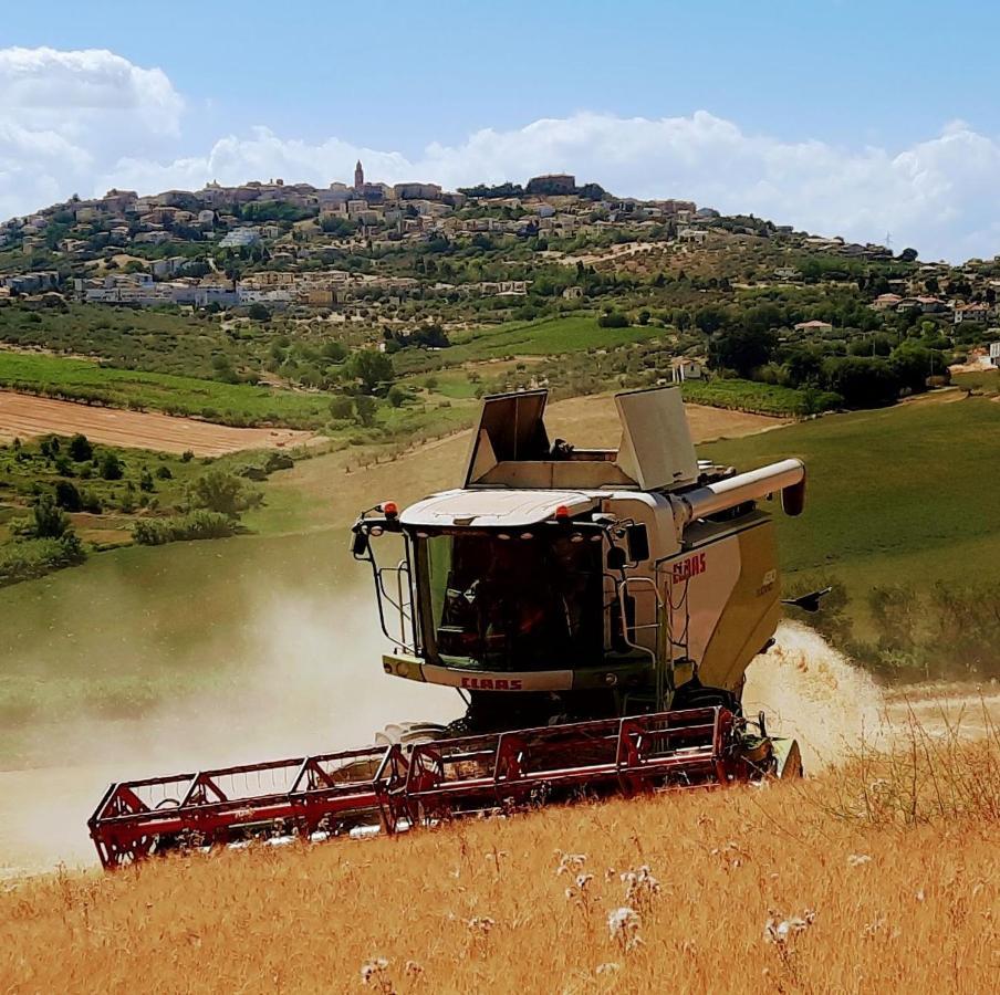 Tenuta Coppa Zuccari Citta Sant'Angelo Ngoại thất bức ảnh